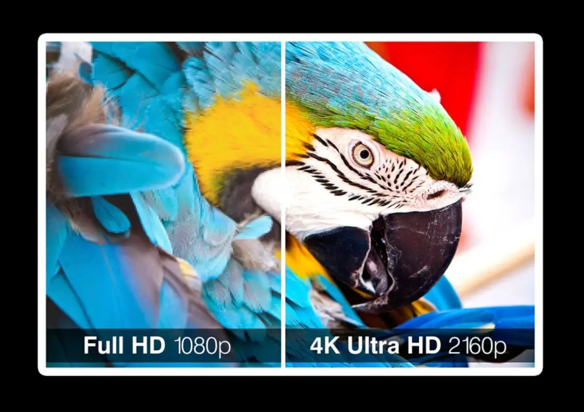 A IPTV 4k é poderosa para o seu entretenimento, conheça essa maravilha da tecnologia!